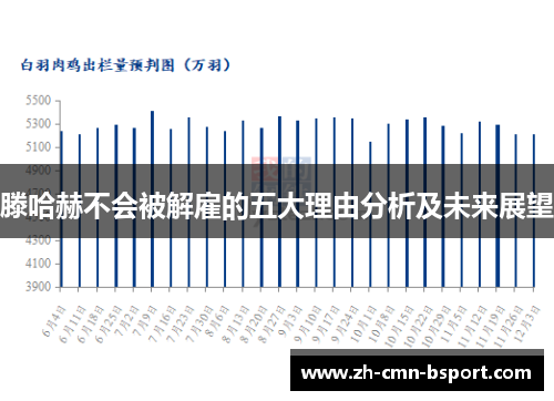 滕哈赫不会被解雇的五大理由分析及未来展望 滕哈赫不会被解雇的五大理由分析及未来展望