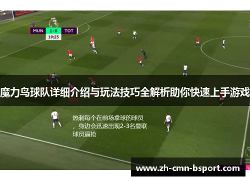 魔力鸟球队详细介绍与玩法技巧全解析助你快速上手游戏