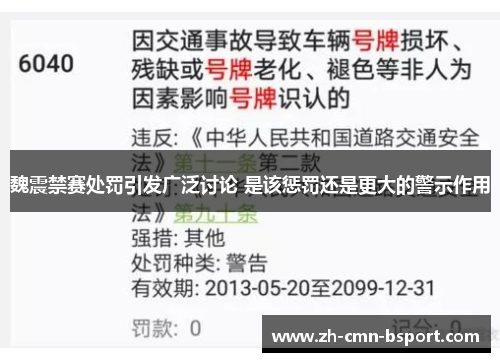 魏震禁赛处罚引发广泛讨论 是该惩罚还是更大的警示作用