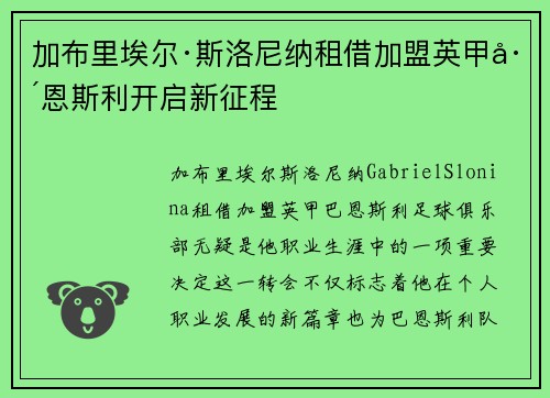 加布里埃尔·斯洛尼纳租借加盟英甲巴恩斯利开启新征程